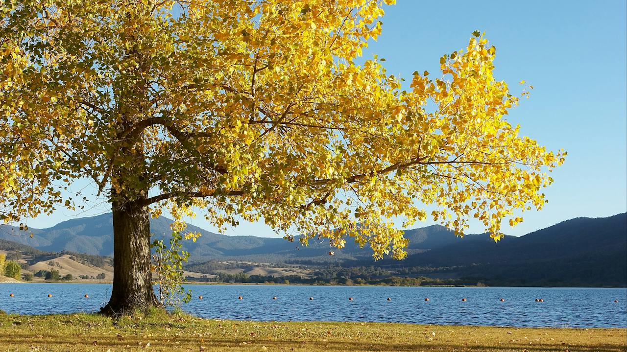 Khancoban Pondage