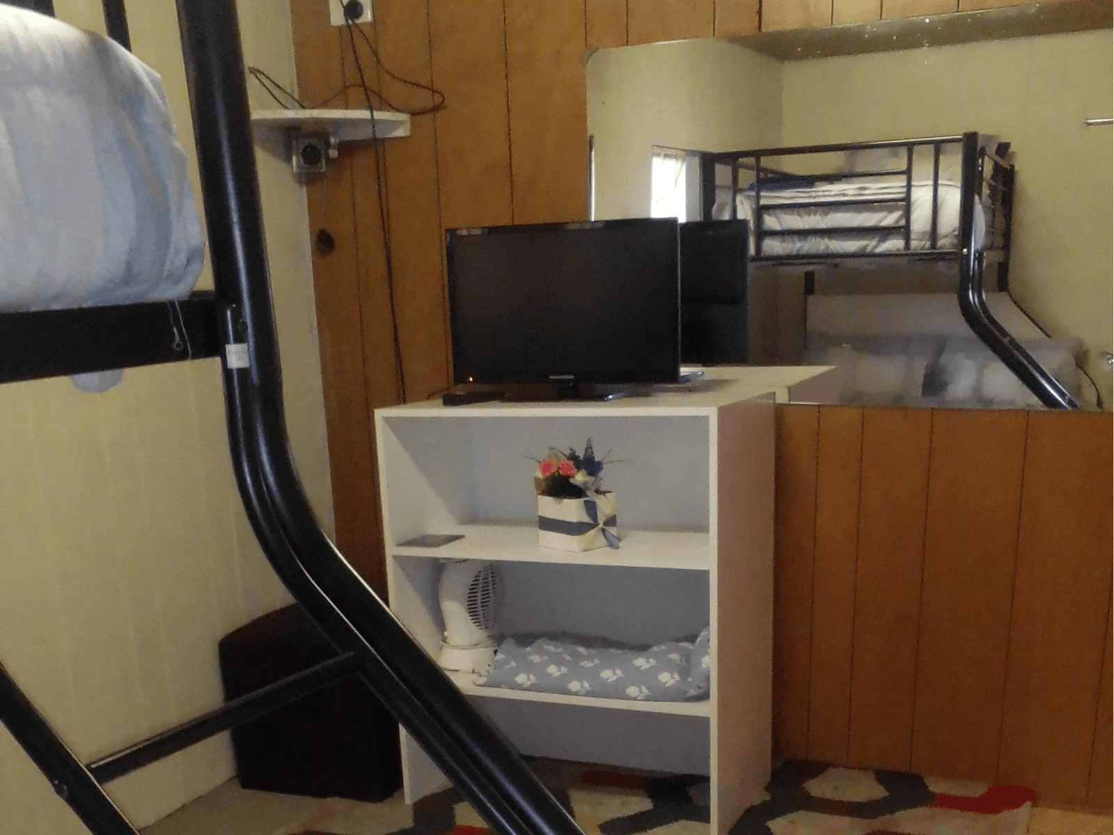 TV in Bedroom