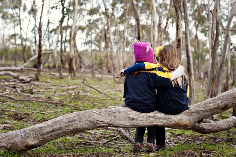 Para Wirra Conservation Park