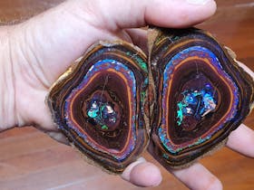 A Specimen from the Brisbane Opal Museum Collection