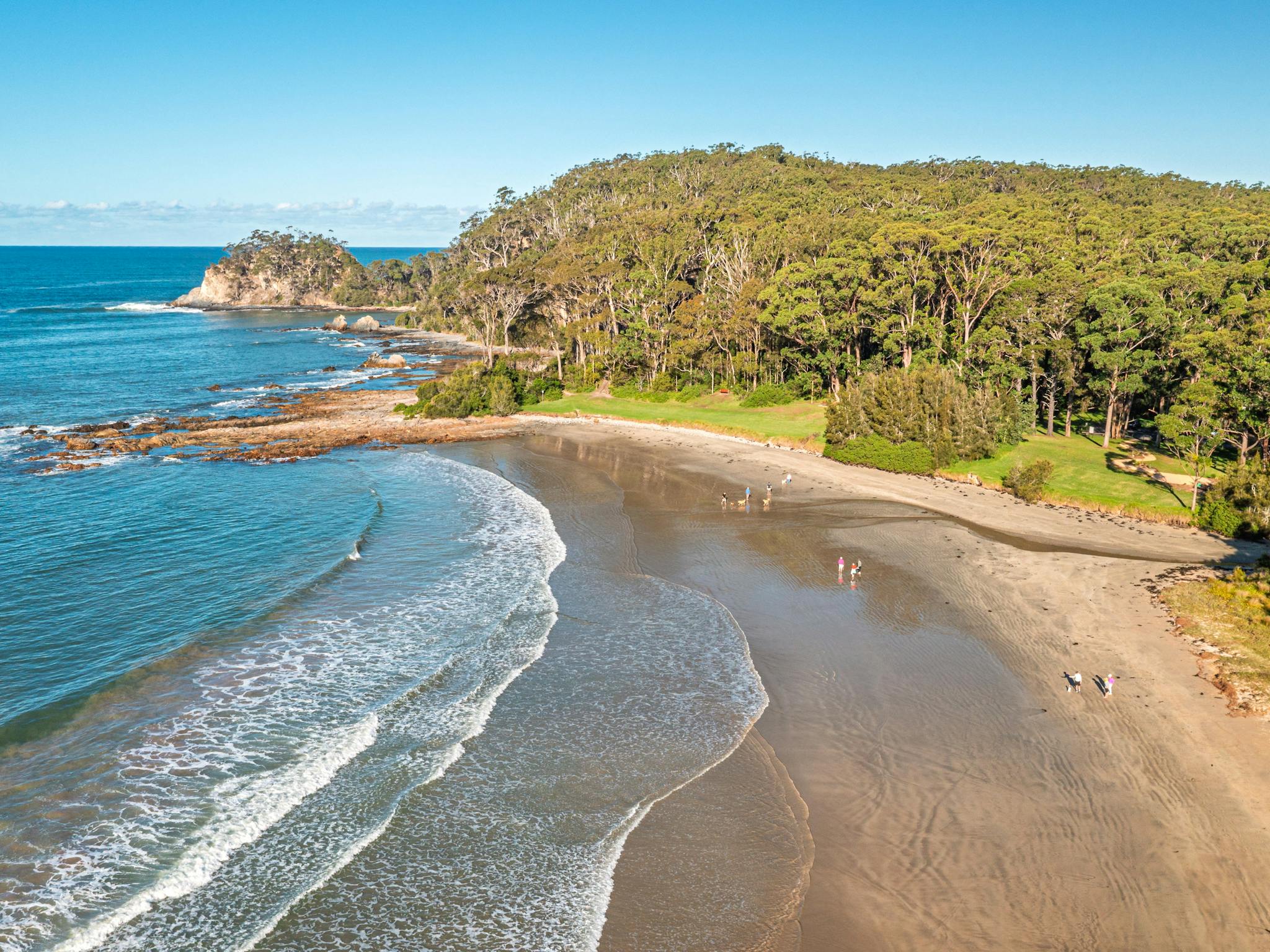 aerial view looking south over the beaches and headland at Surf Beach