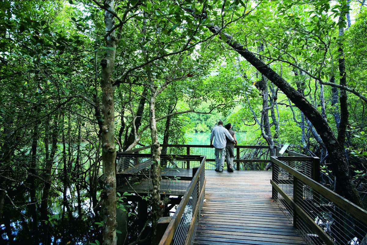 Guided Tour, Mossman Gorge