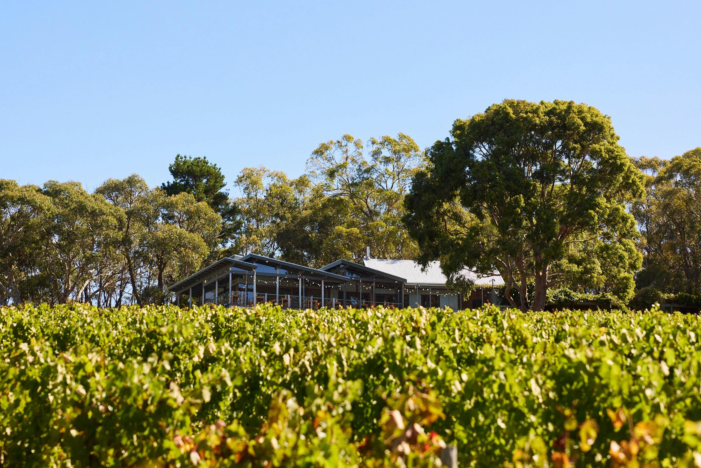 Mt Lofty Ranges restaurant overlooking vineyard