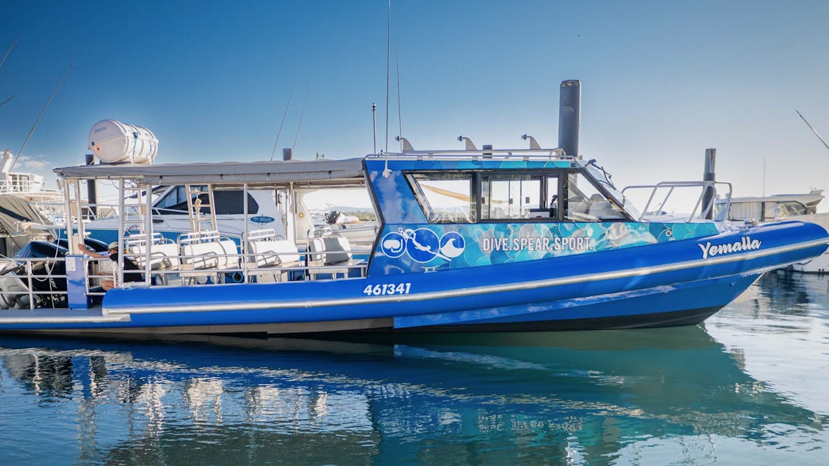 Blue dive vessel, moored at a marina