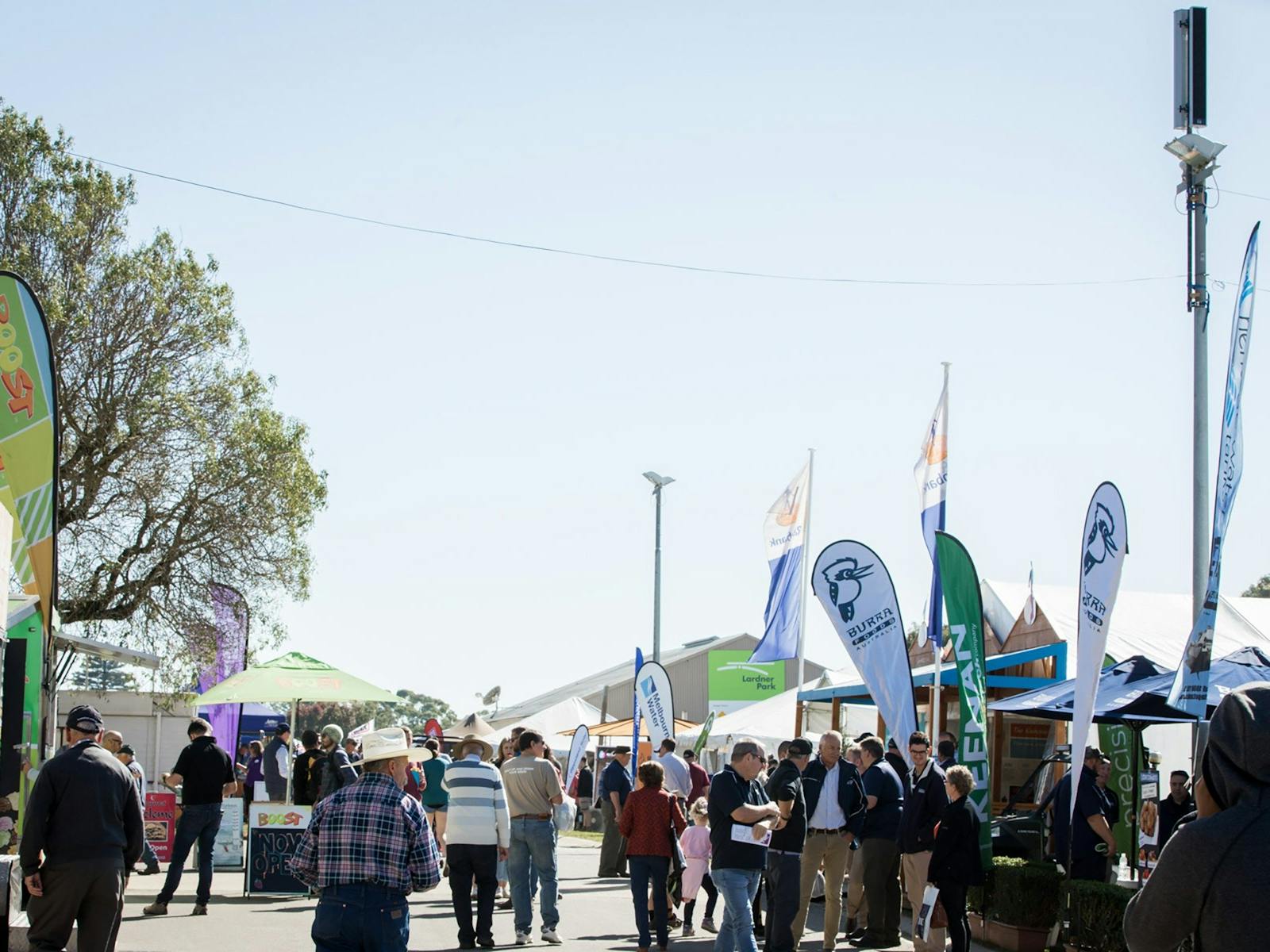 Image for Farm World
