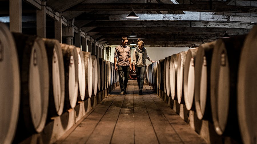 Iconic Barossa Valley Experience
