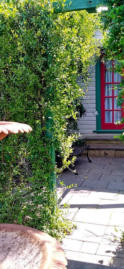 The Old Gallery in Binalong Courtyard