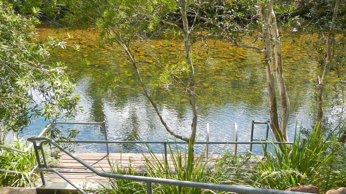 Steps and ramp leading to swimming platform at creek.