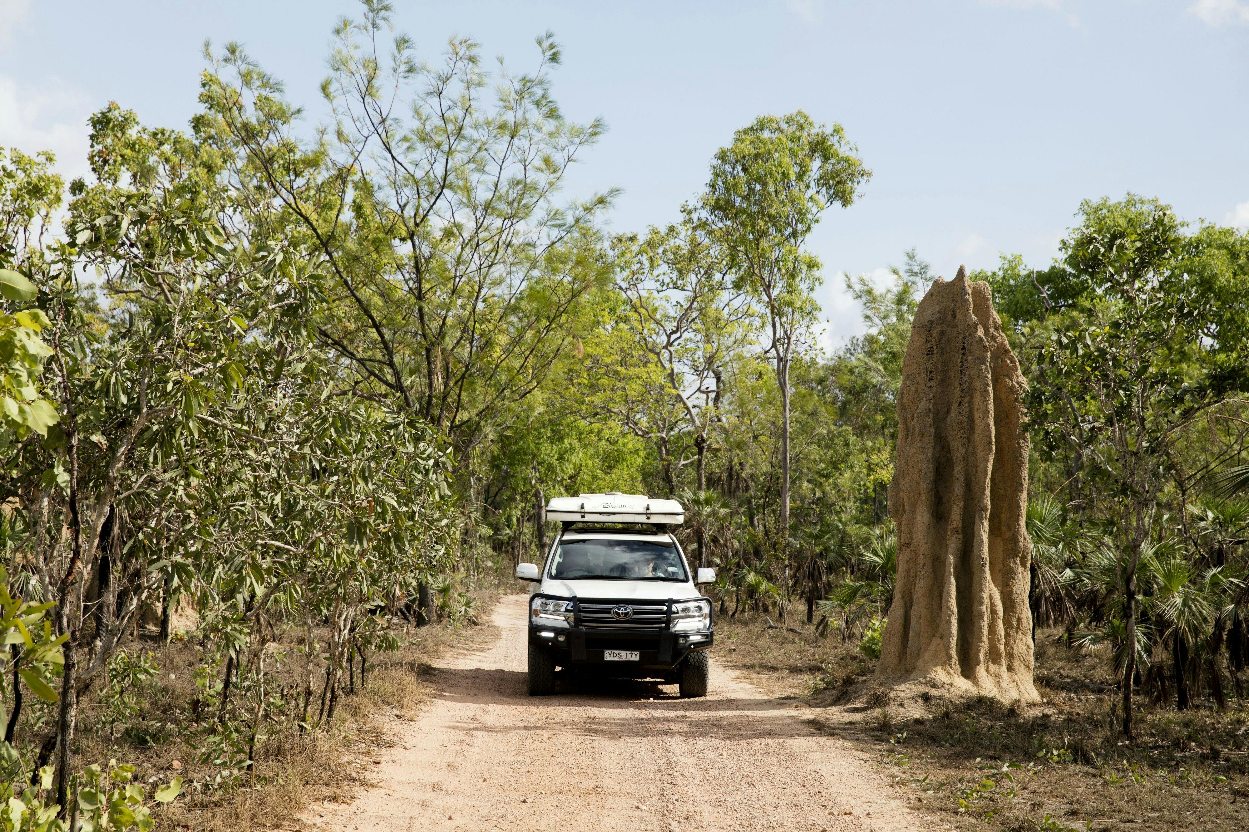 Driving past a cathedral termite mound in Litchfield National Park