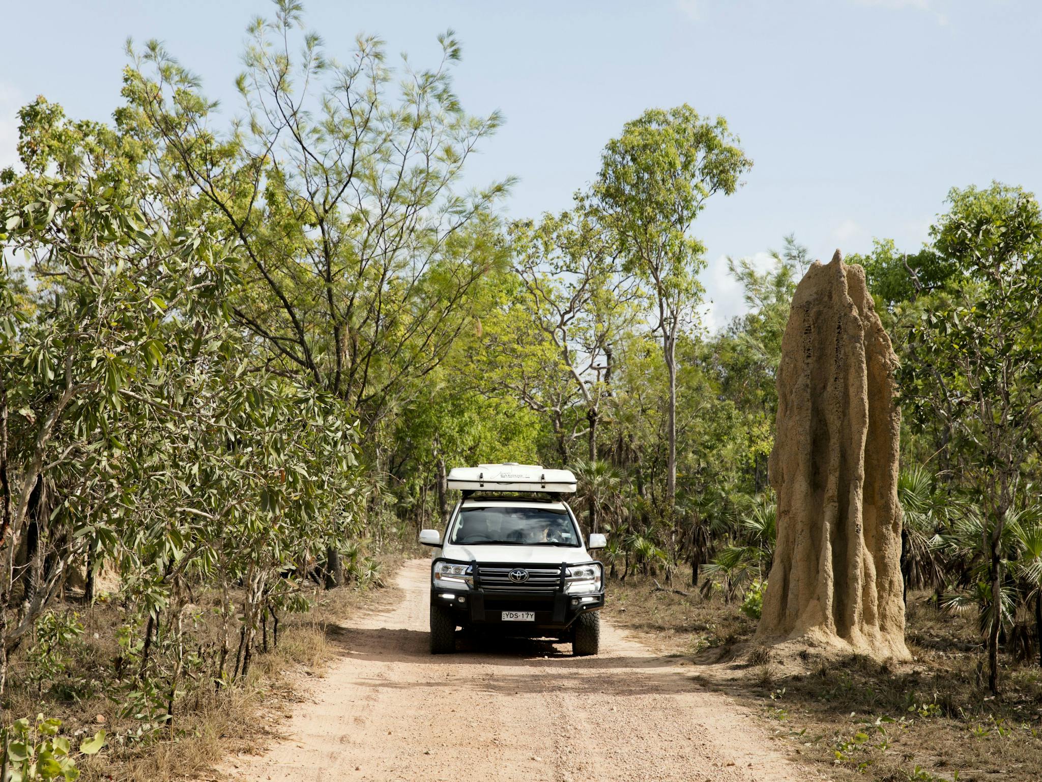 Driving past a cathedral termite mound in Litchfield National Park