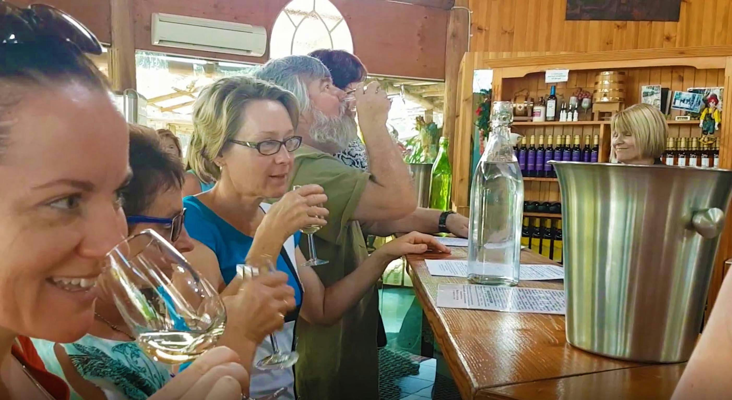 Tastes Of The Hunter Wine Tours - Group Wine Tasting at Sobel's Wines