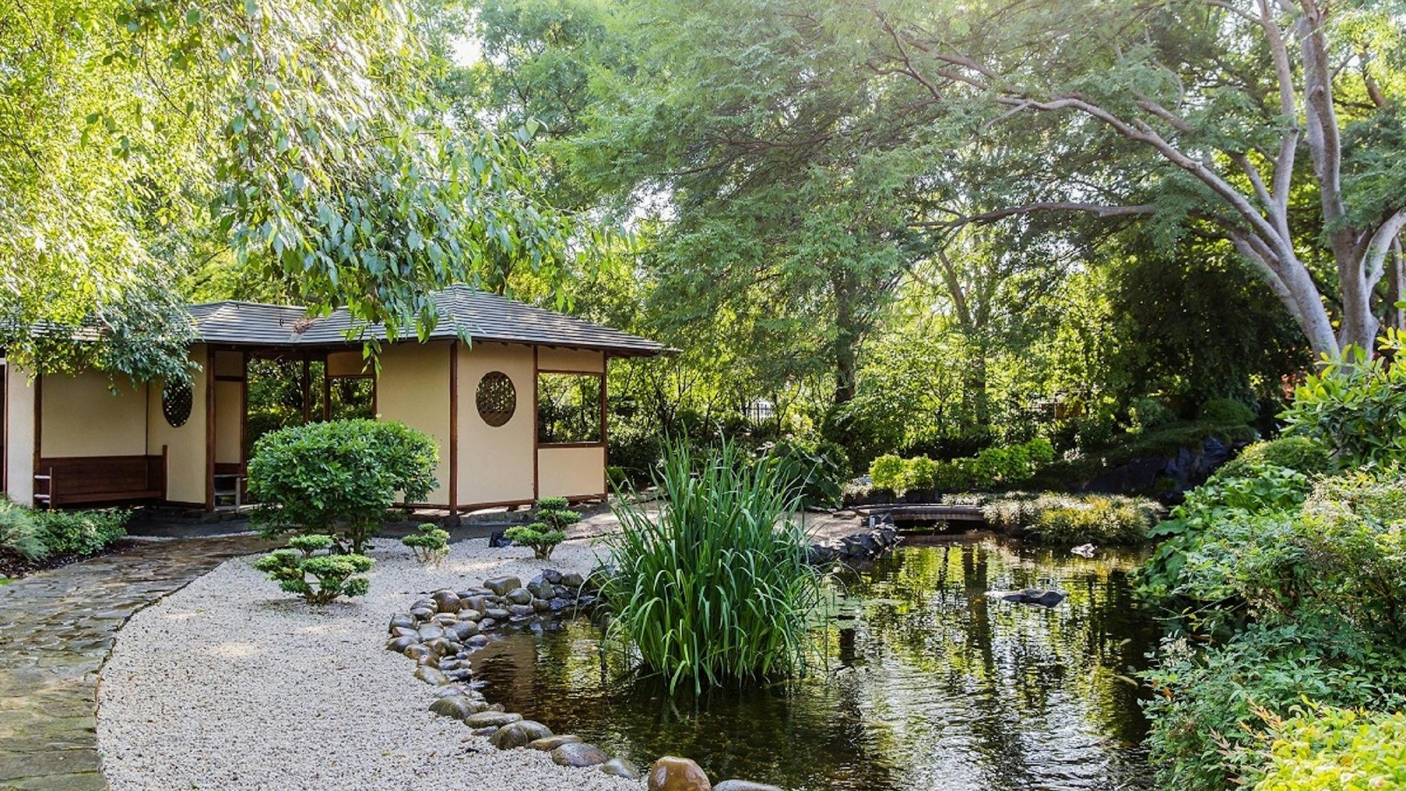 posts featured image