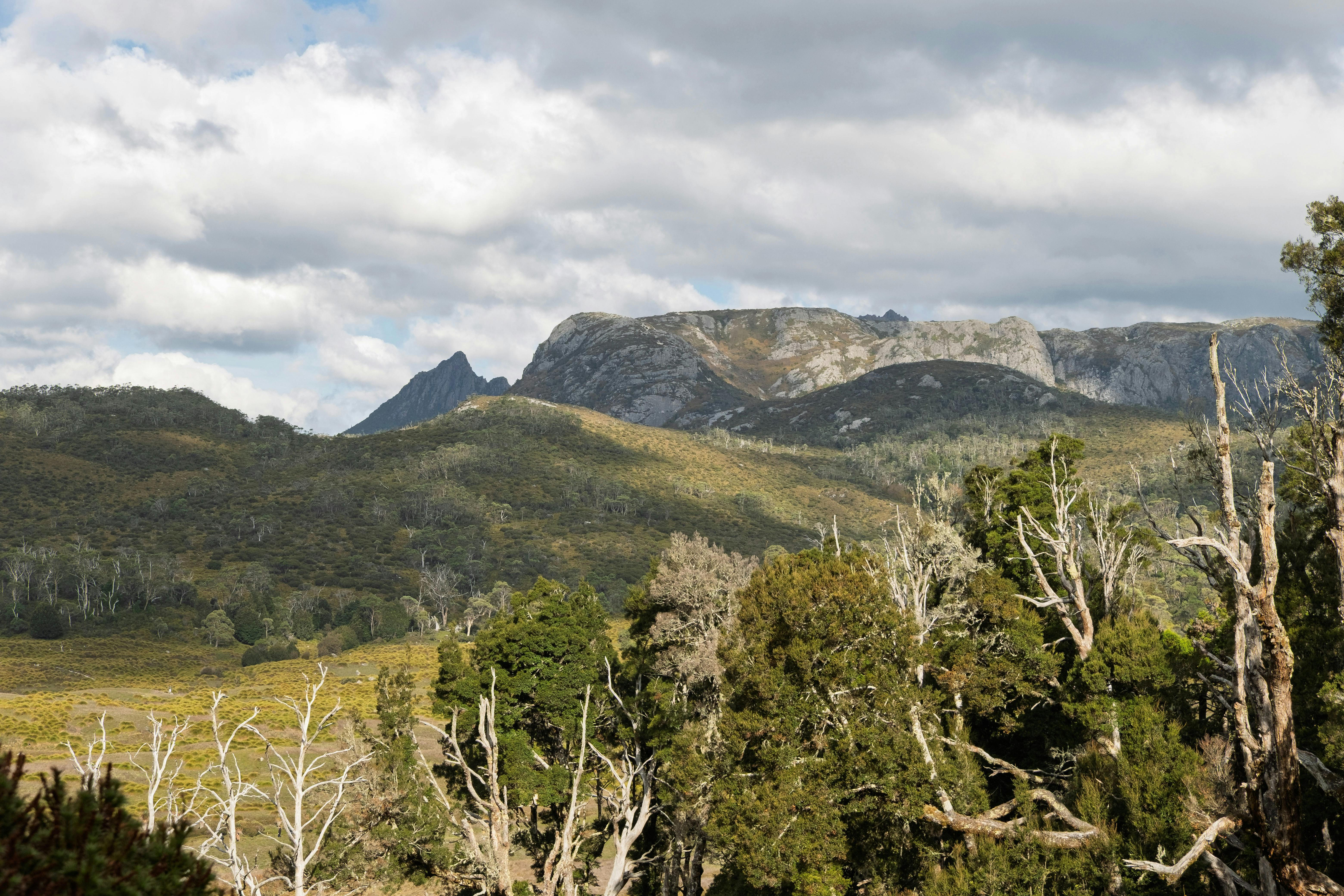 Cradle Mountain - Weindorfer Day 2026