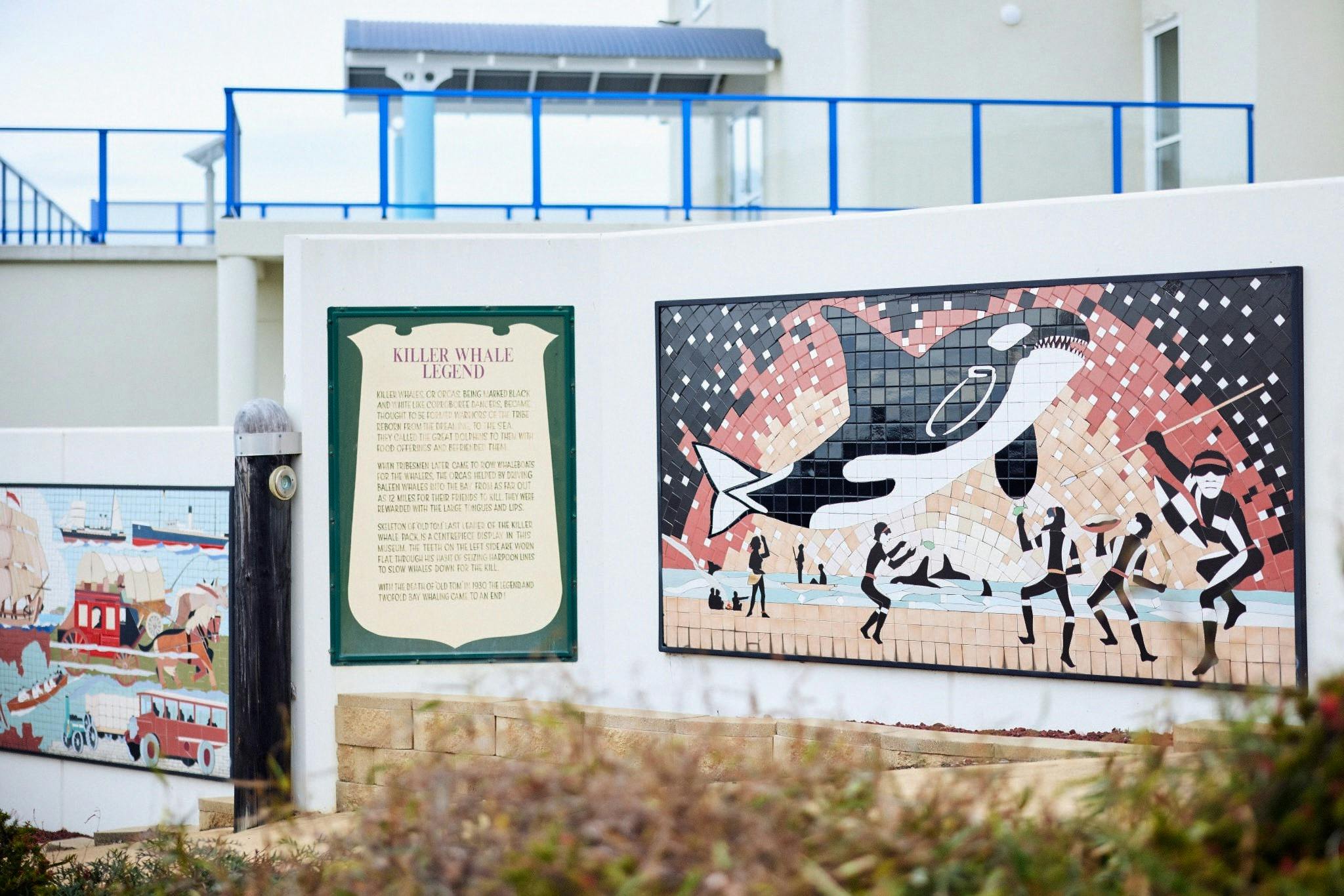 伊甸虎鯨博物館