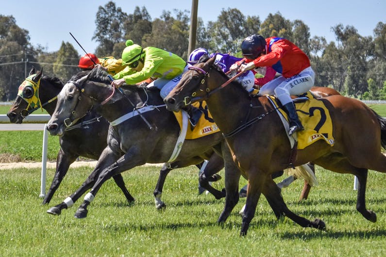 Image of the event 'The Gundagai Cup - Ladies Day'