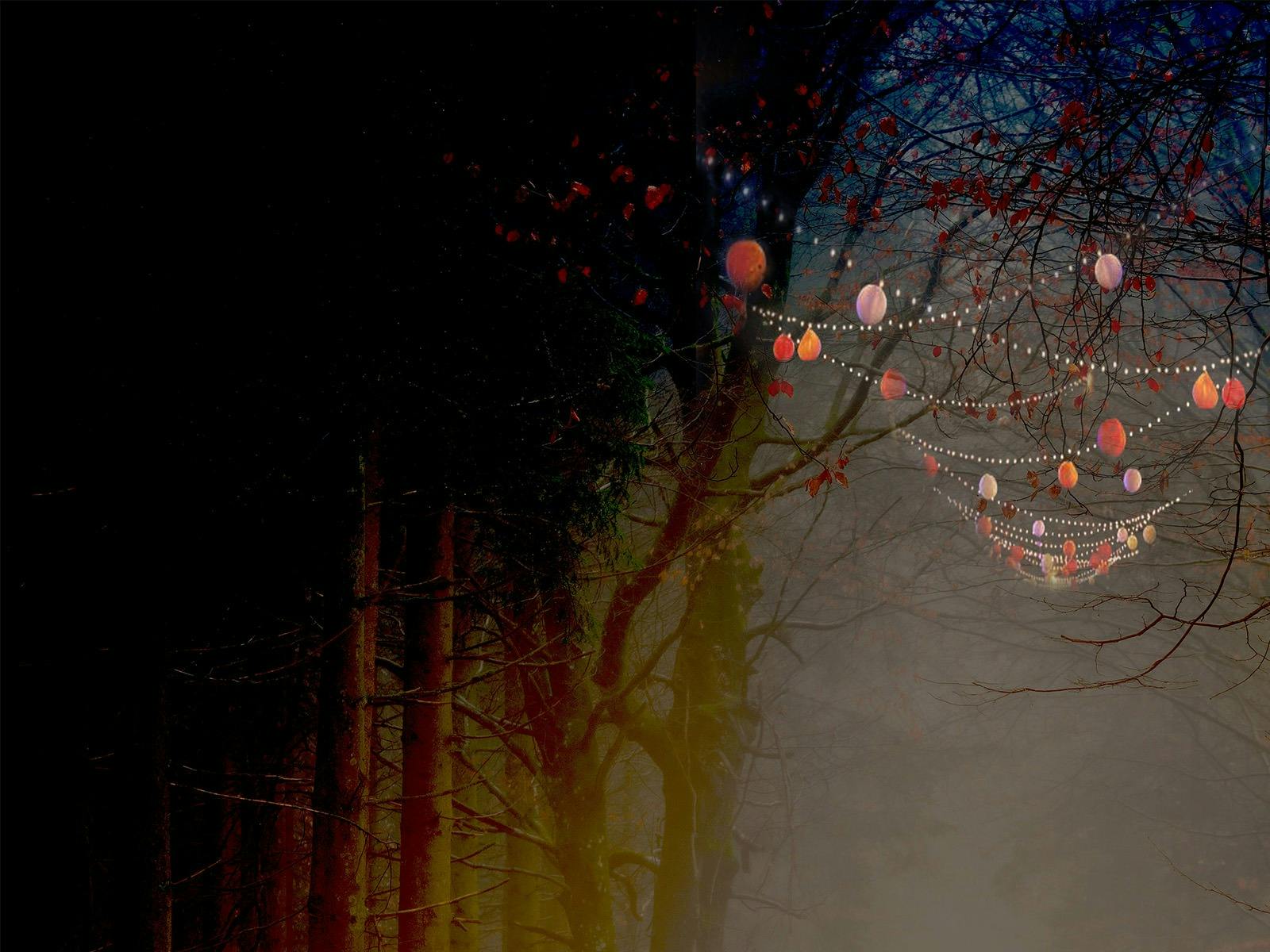 Into the Woods