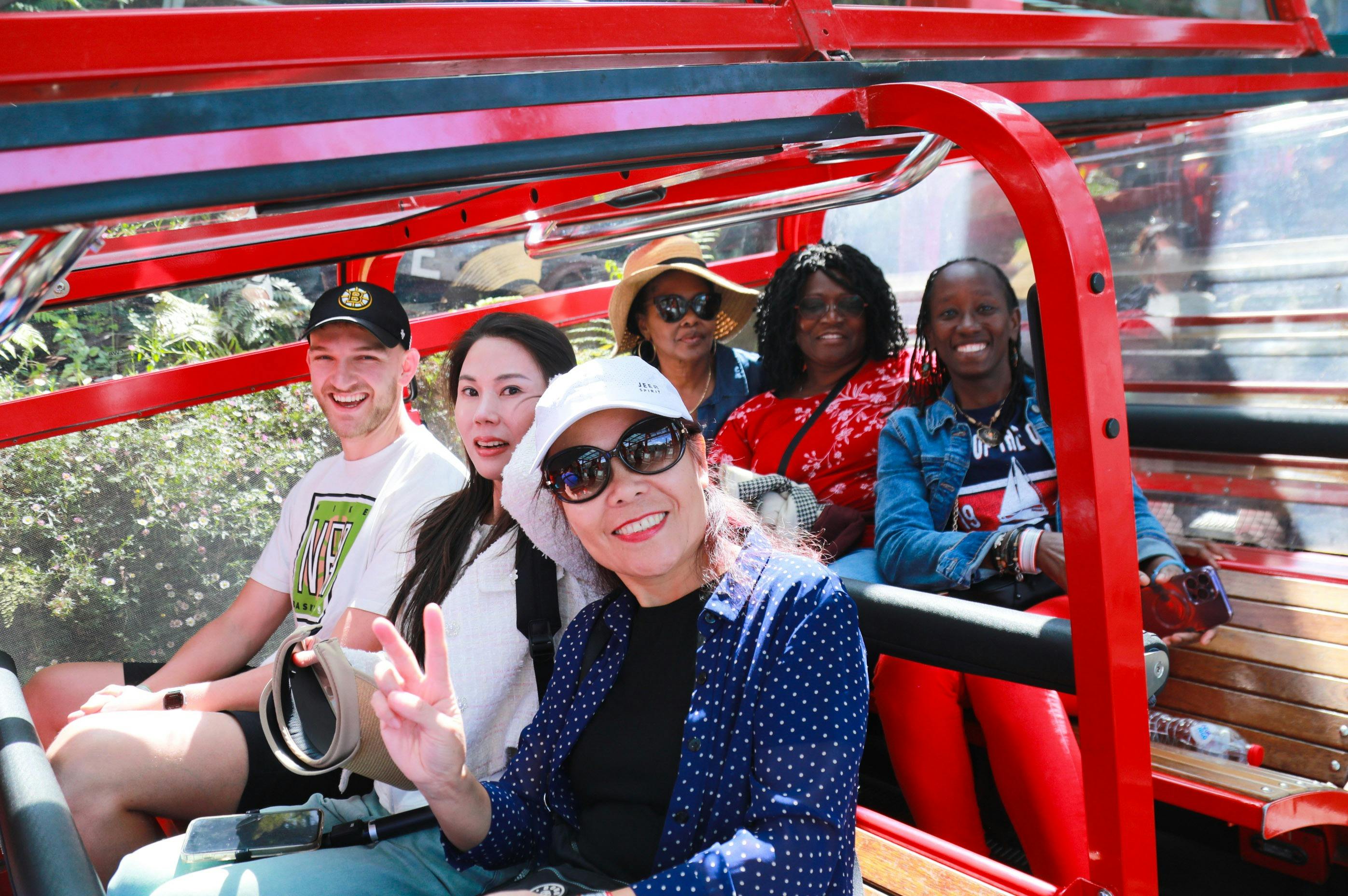 scenic railway