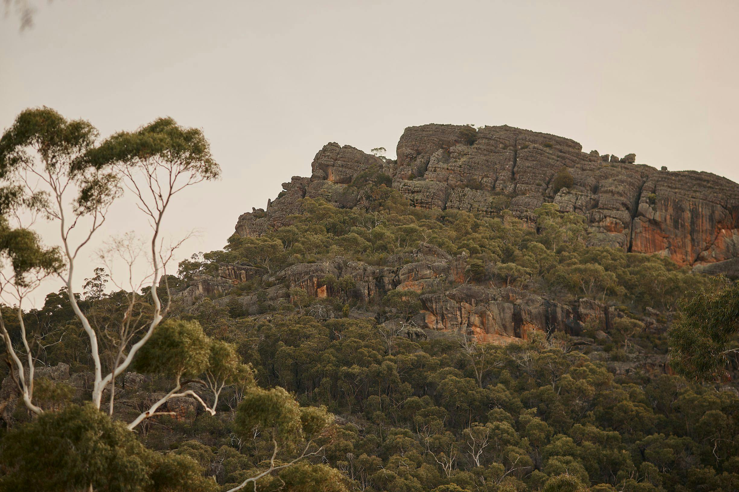 Jamara Baluk Immersive Art Cultural Tour