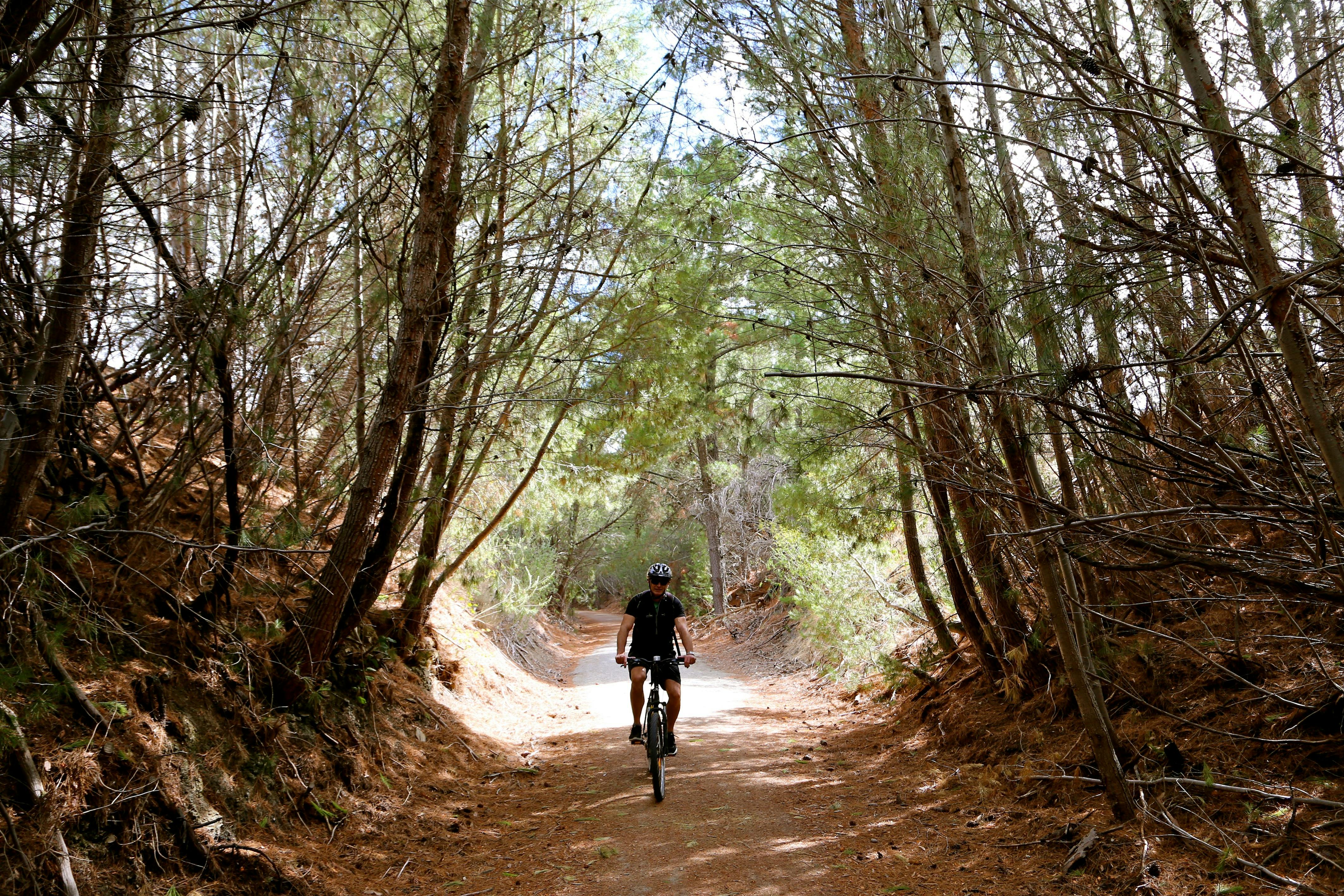 Cycling the beautiful Riesling Trail in South Australia