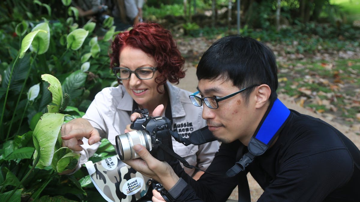 Photographing Beetles with Camera Hire