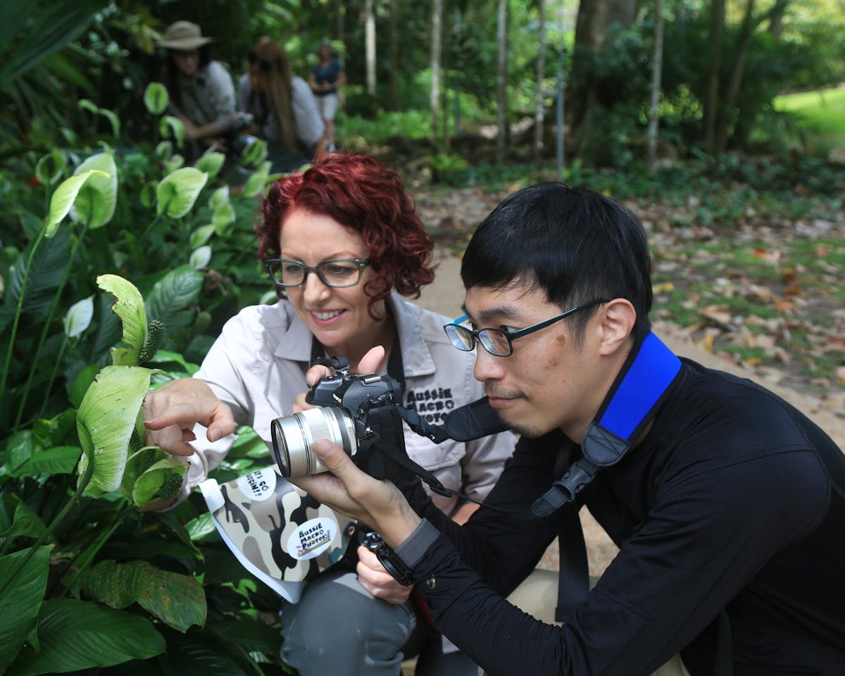 Photographing Beetles with Camera Hire