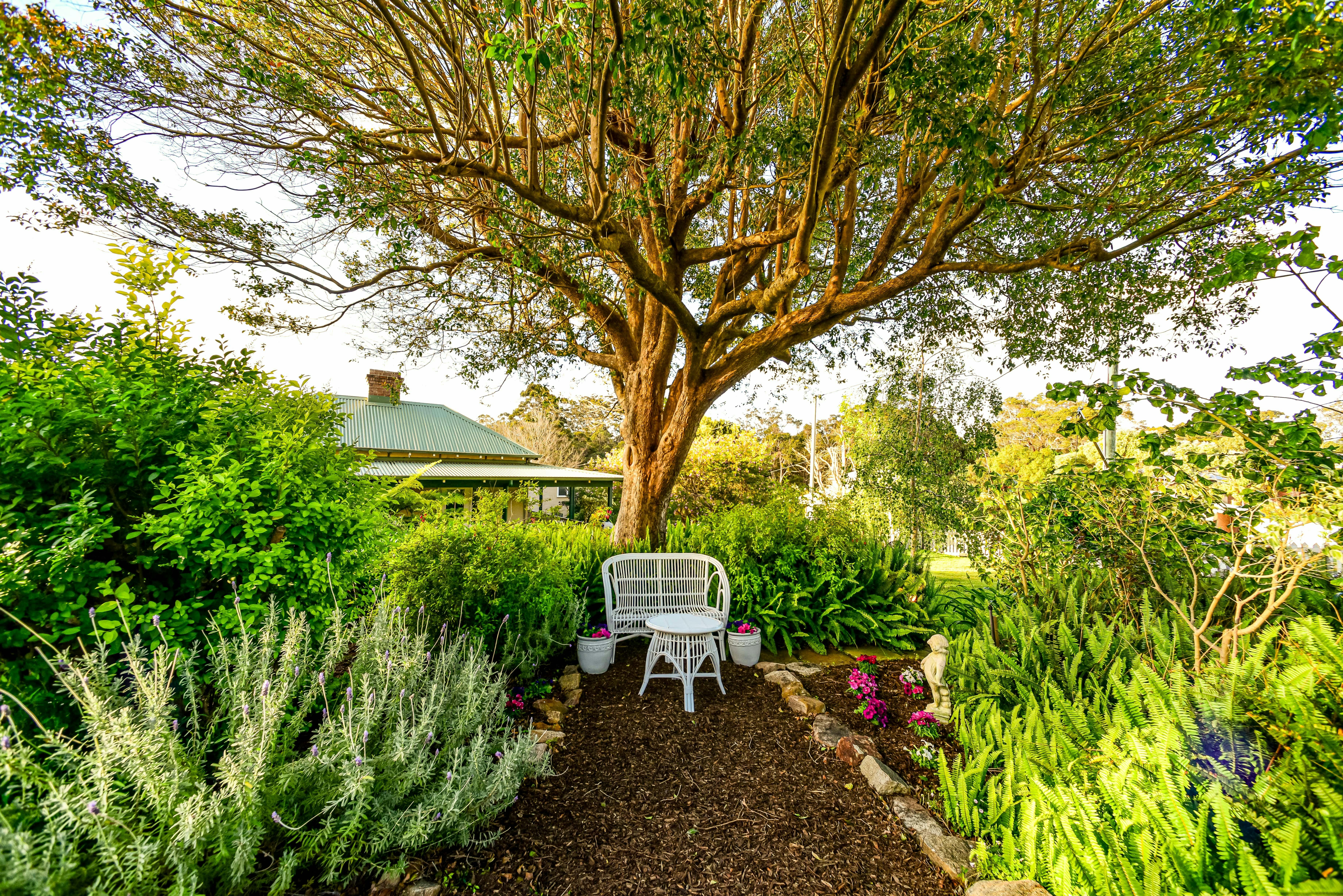 Enjoy the beautiful garden