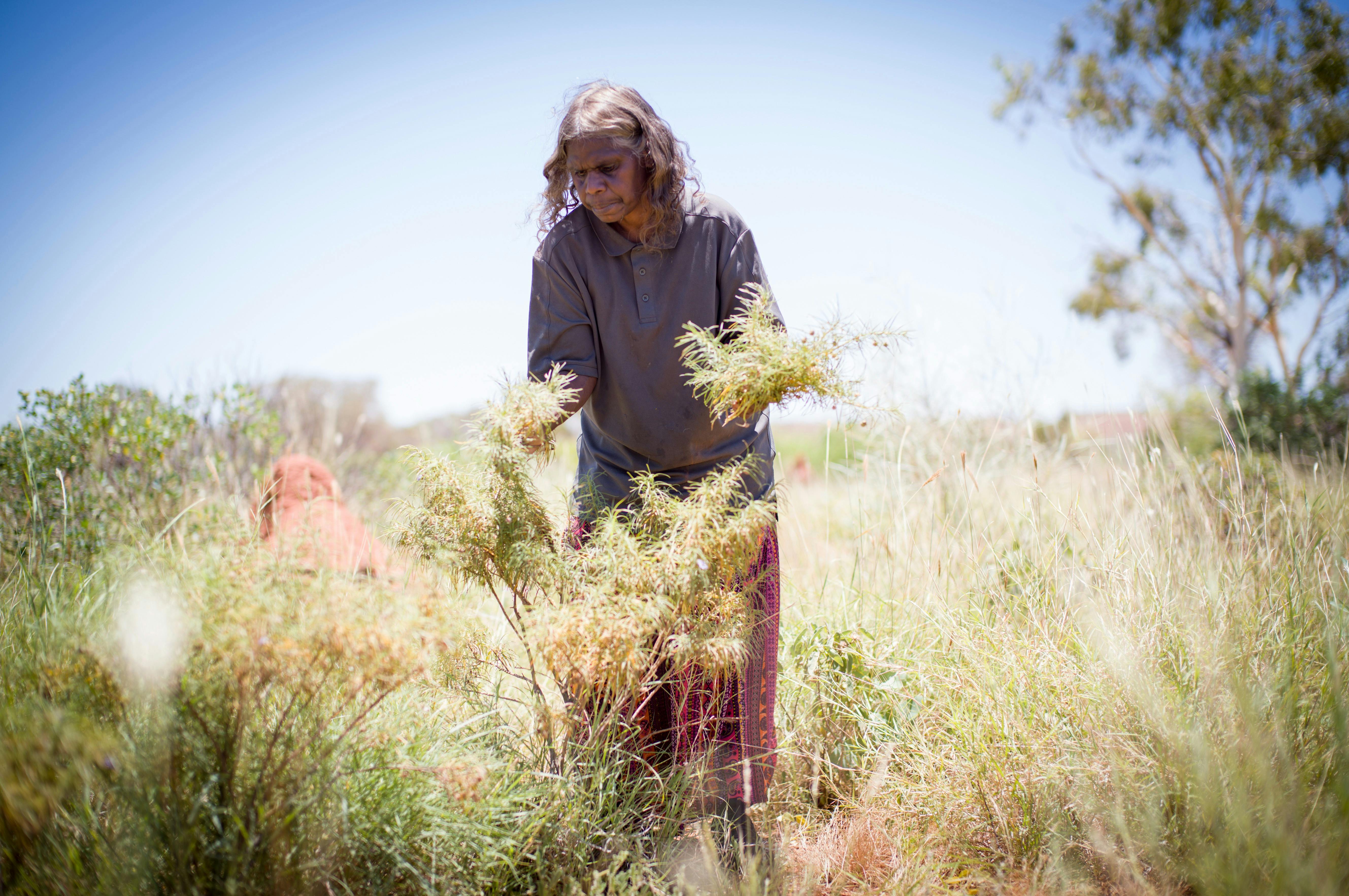 Artists of the Barkly Studio Gallery