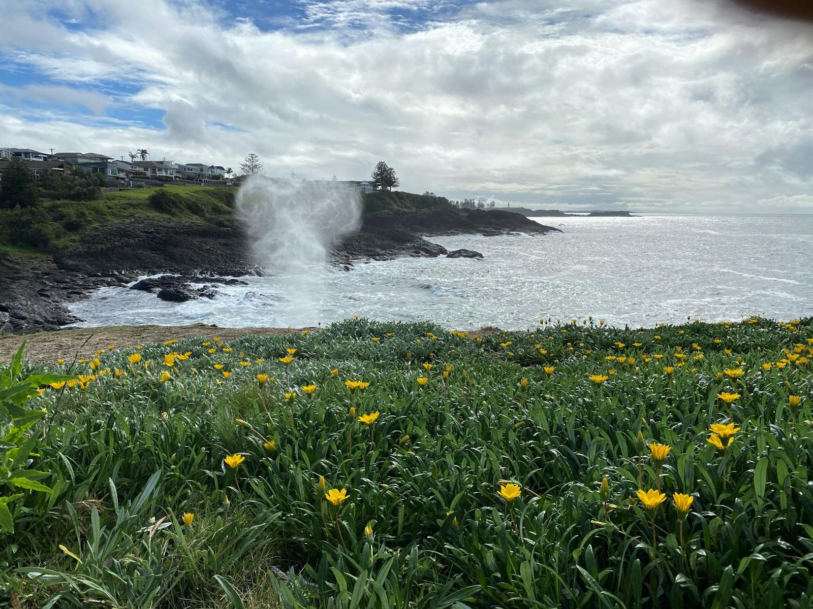 키아마 해안 산책로의 블로우홀