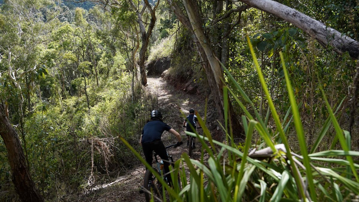 Enjoy a variety of flora and fauna on the bike trails.