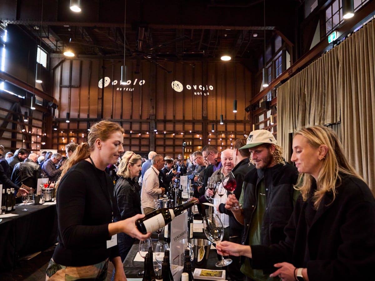 Taste over 140 wines from 35 wineries!
