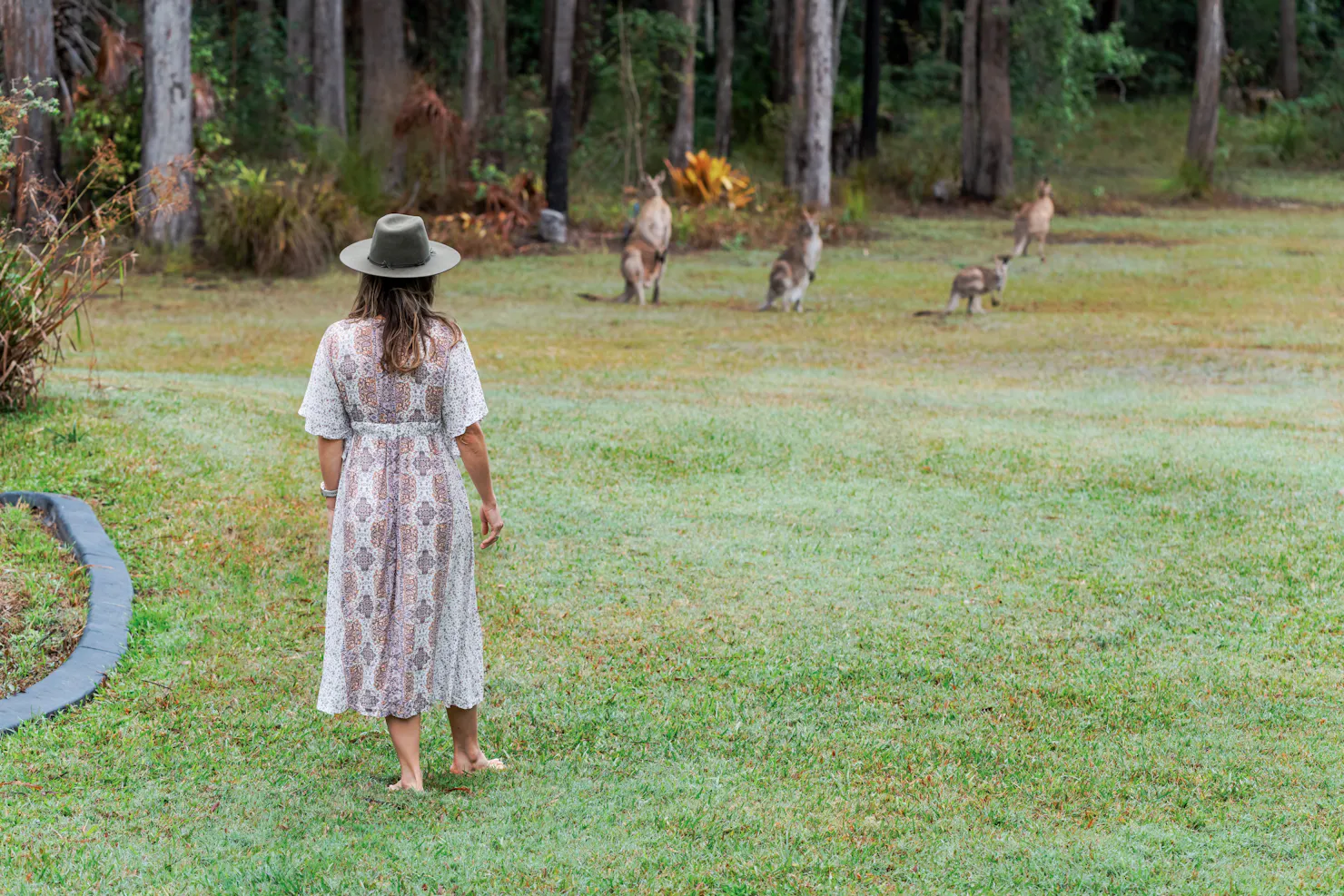 Wildlife wander around the property.