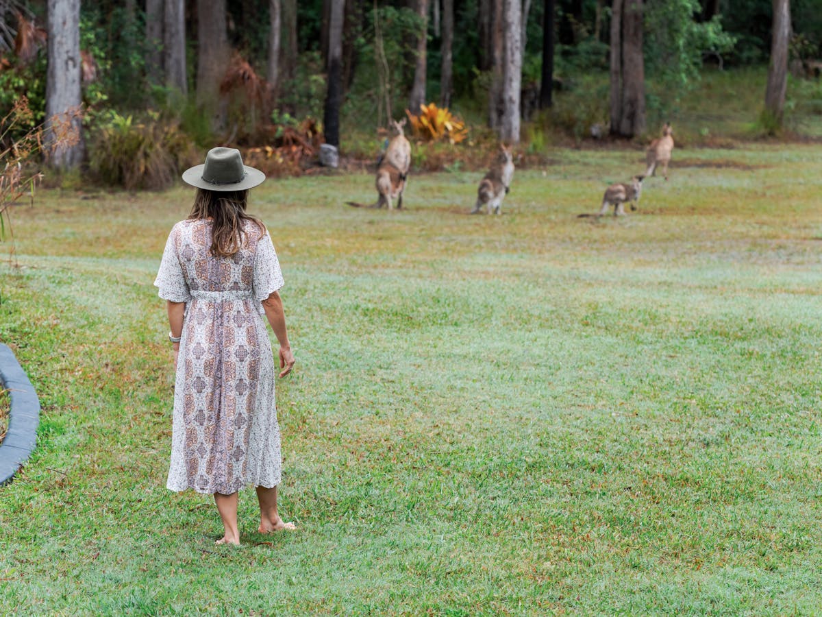 Wildlife wander around the property.