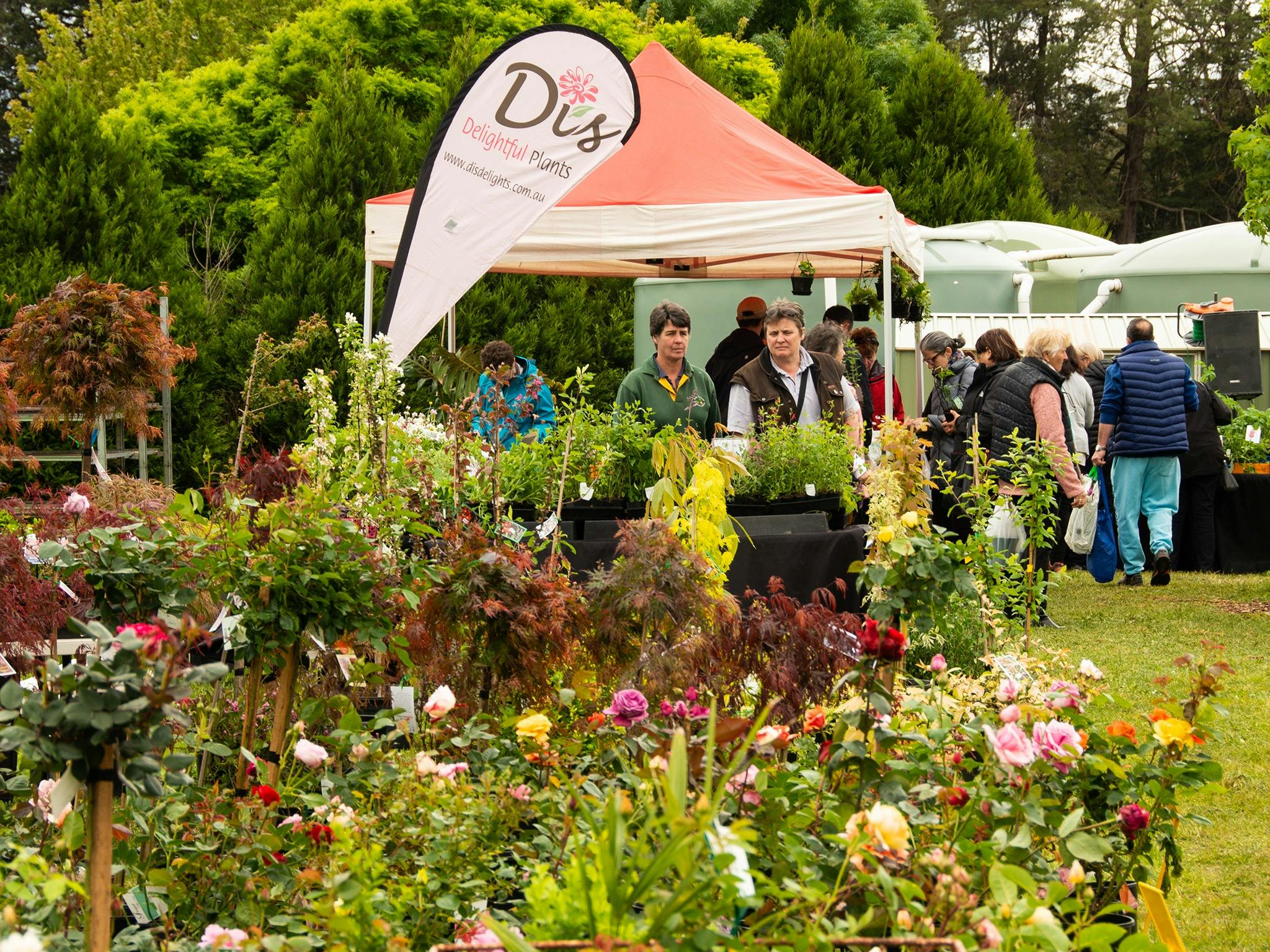 Roses and Di's Delightful Plants stand