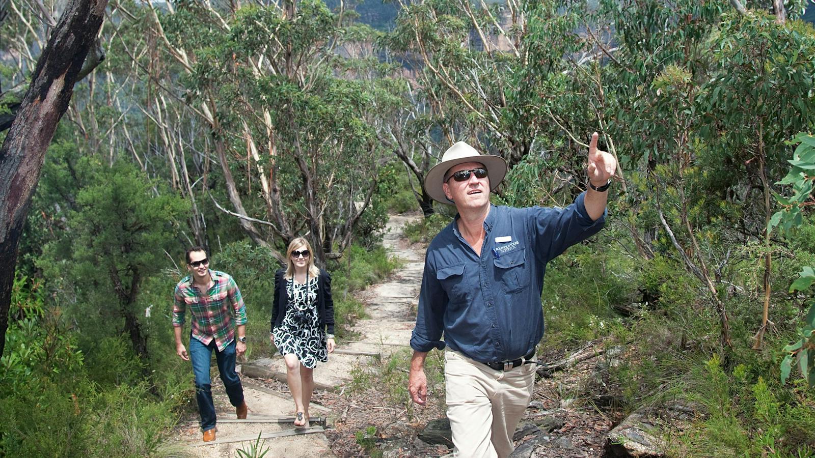Blue Mountains National Park
