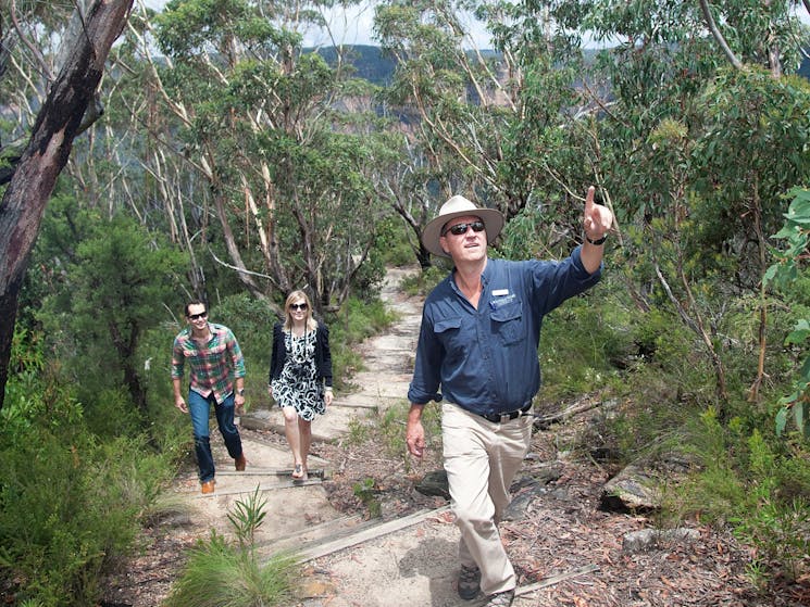 Blue Mountains National Park