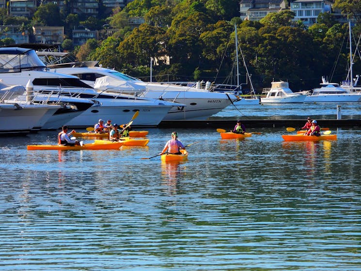 Free Learn to Kayak Lessons