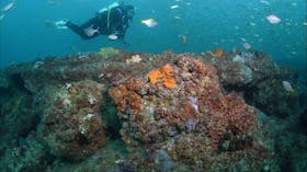 Scottish Prince Dive Site