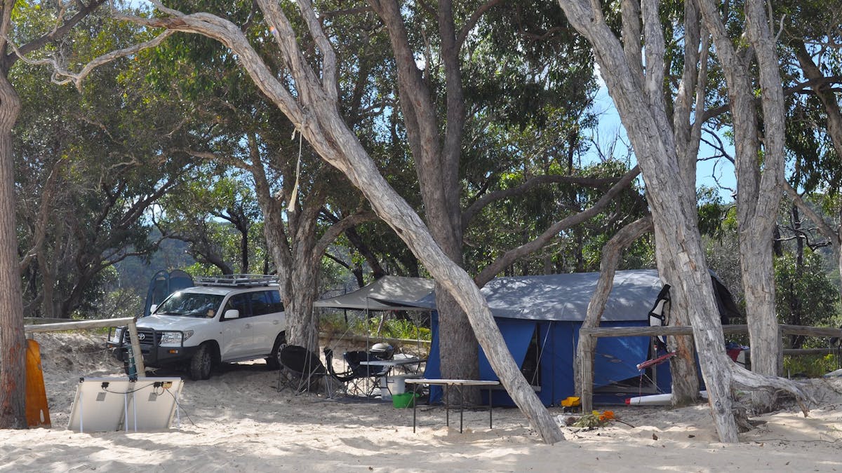 Tent and 4WD under trees on beach.