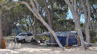 Tent and 4WD under trees on beach.