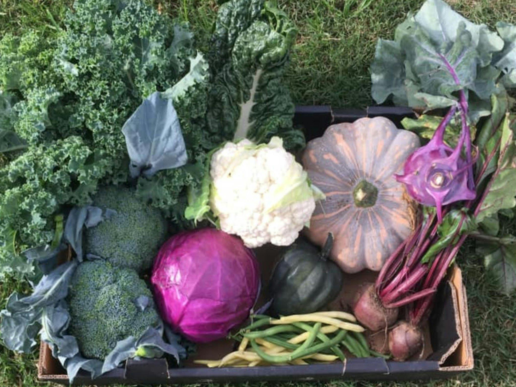 Slow Food Market - Fresh Produce