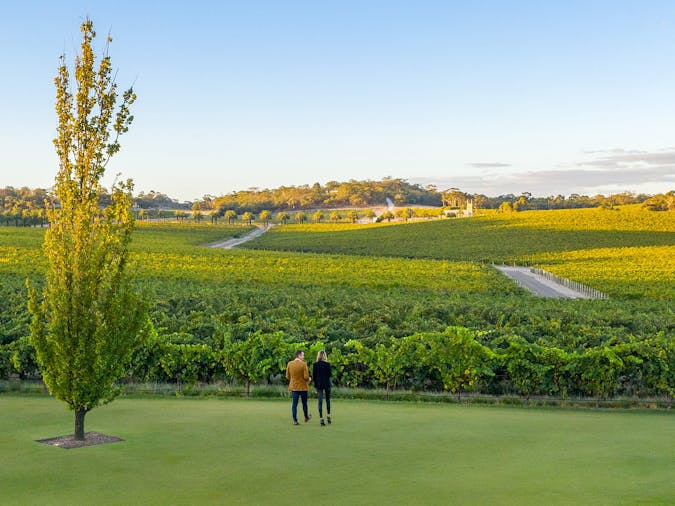 Barossa Valley Estate Cellar Door Gardens