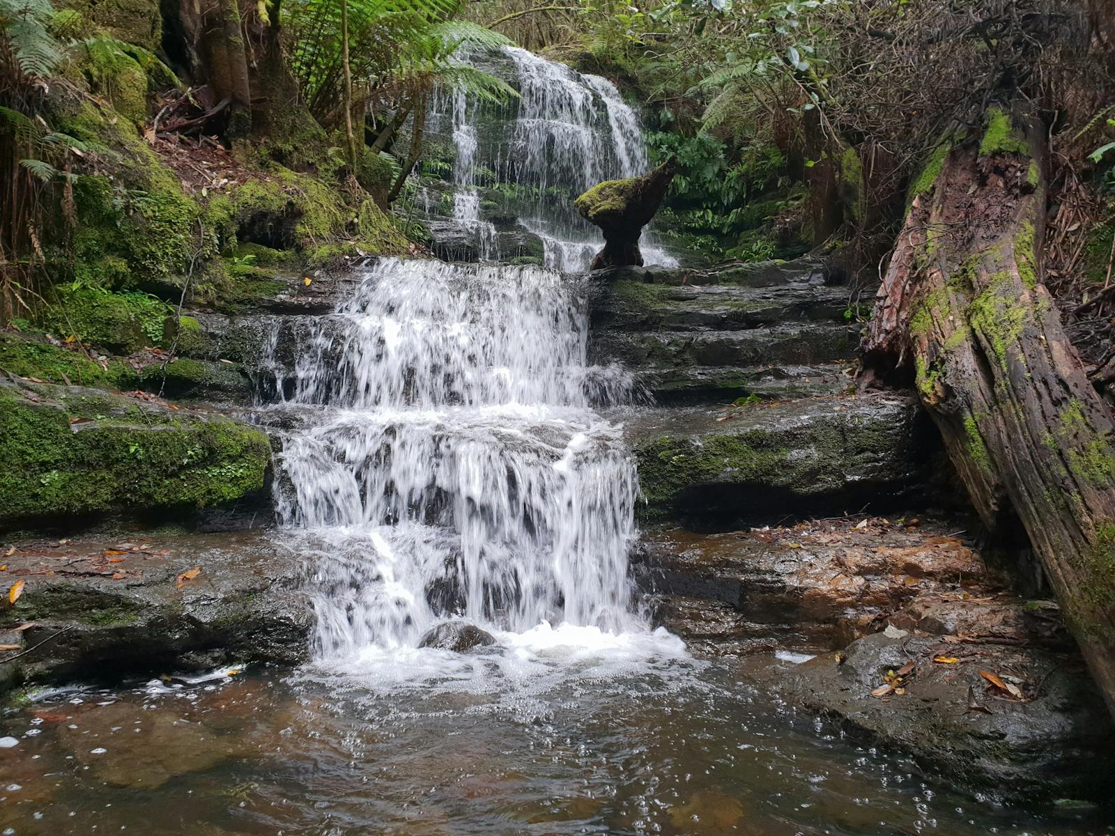 Hiking, Hobart, Tasmania, waterfalls