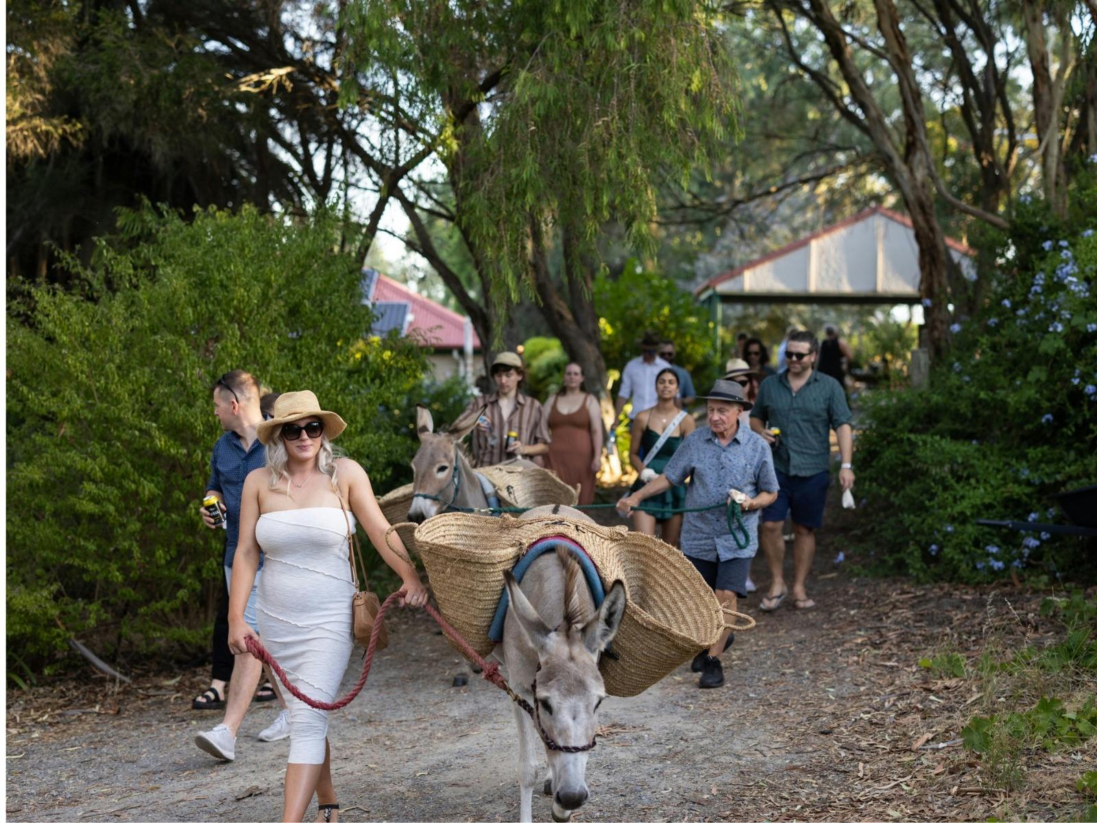 Group of people walking along a dirt track with two donkeys.