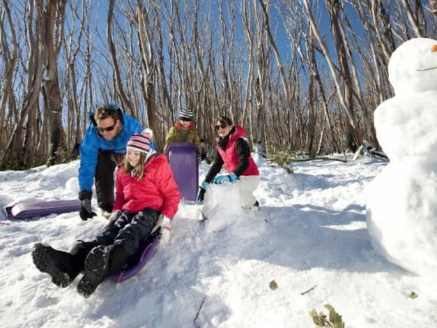 Baw Baw National Park