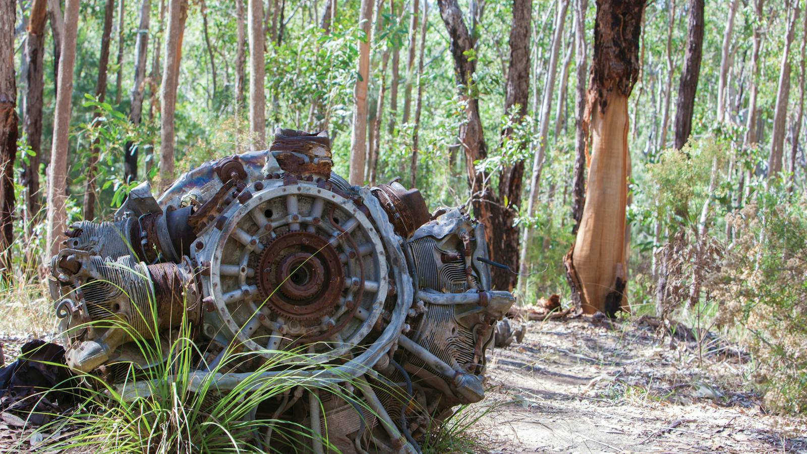 Betsy Boomber Crash Site at Kroombit Tops National Park