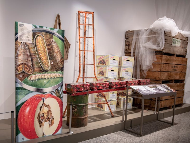 Paddock to Plate Exhibition