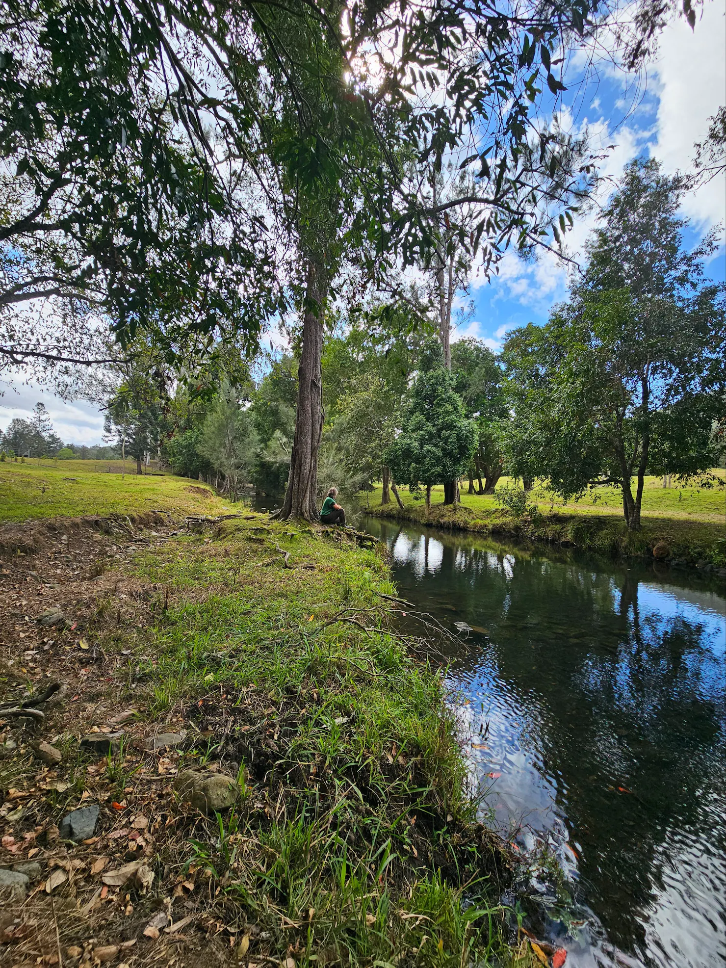 Time for reflection at Harper Creek