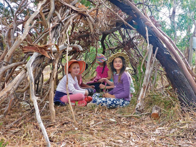 Forest Smores and Explore