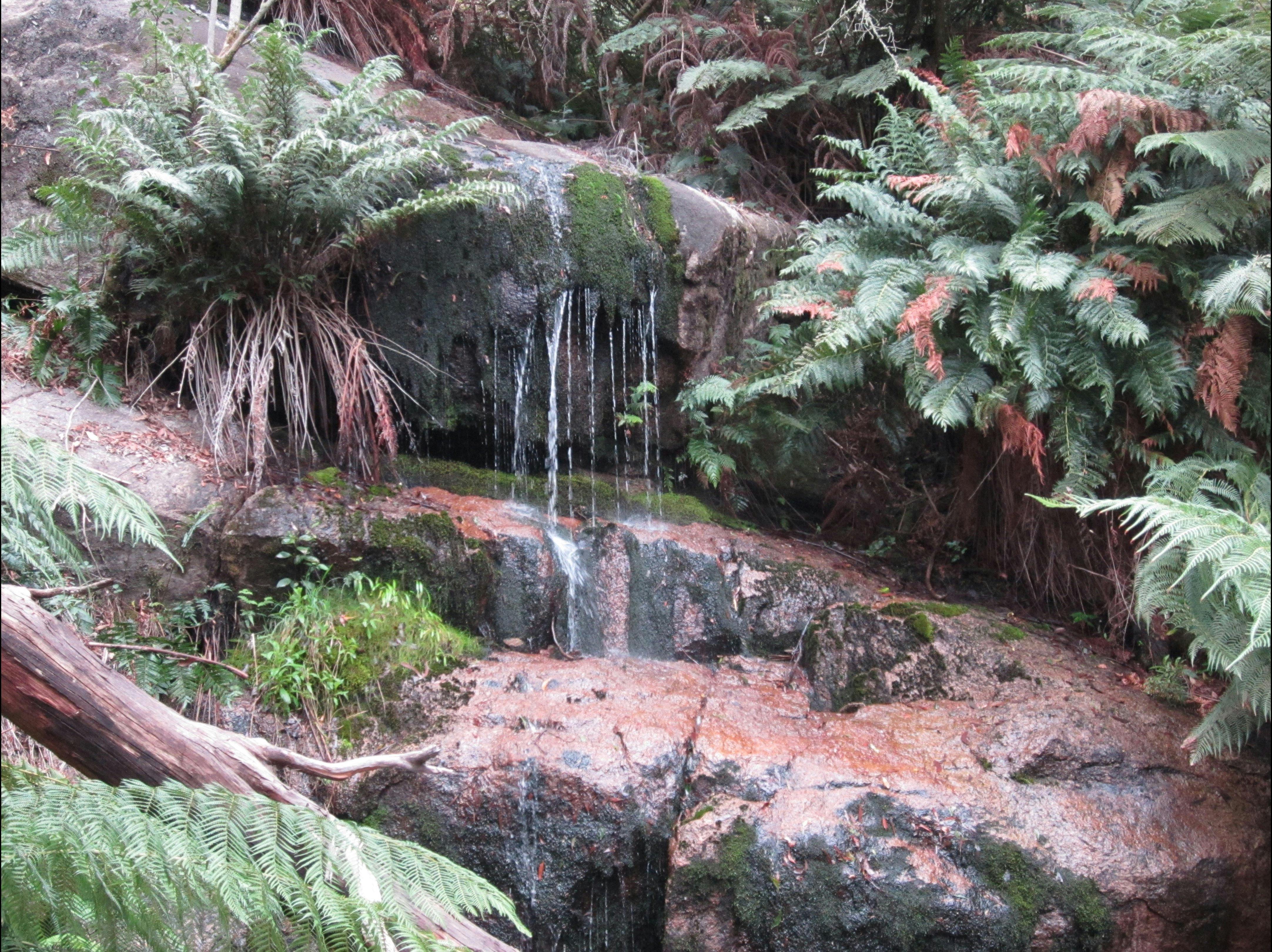Ararat and Western Ranges Discovery Tour