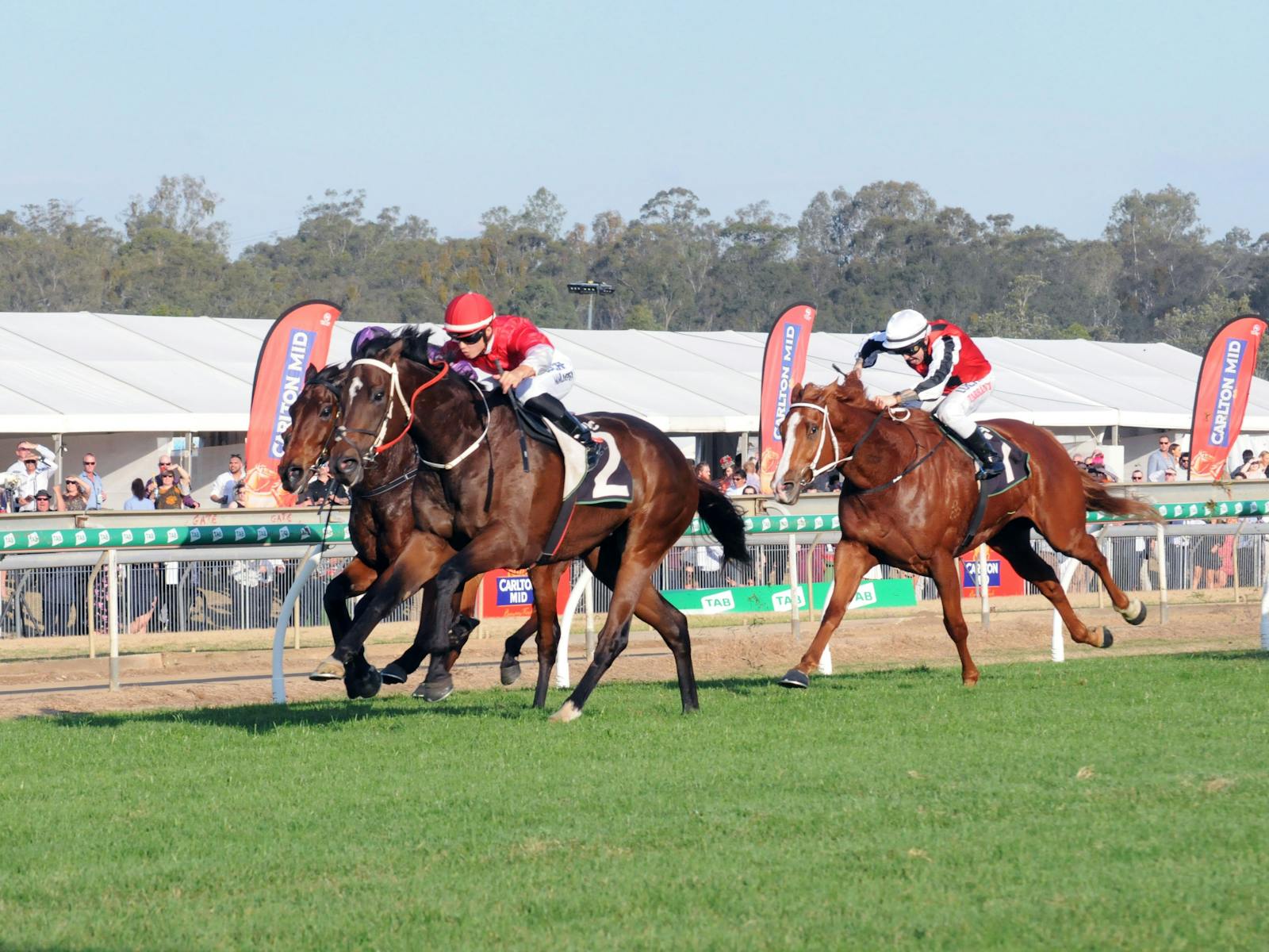 Image for Ipswich Cup 2022